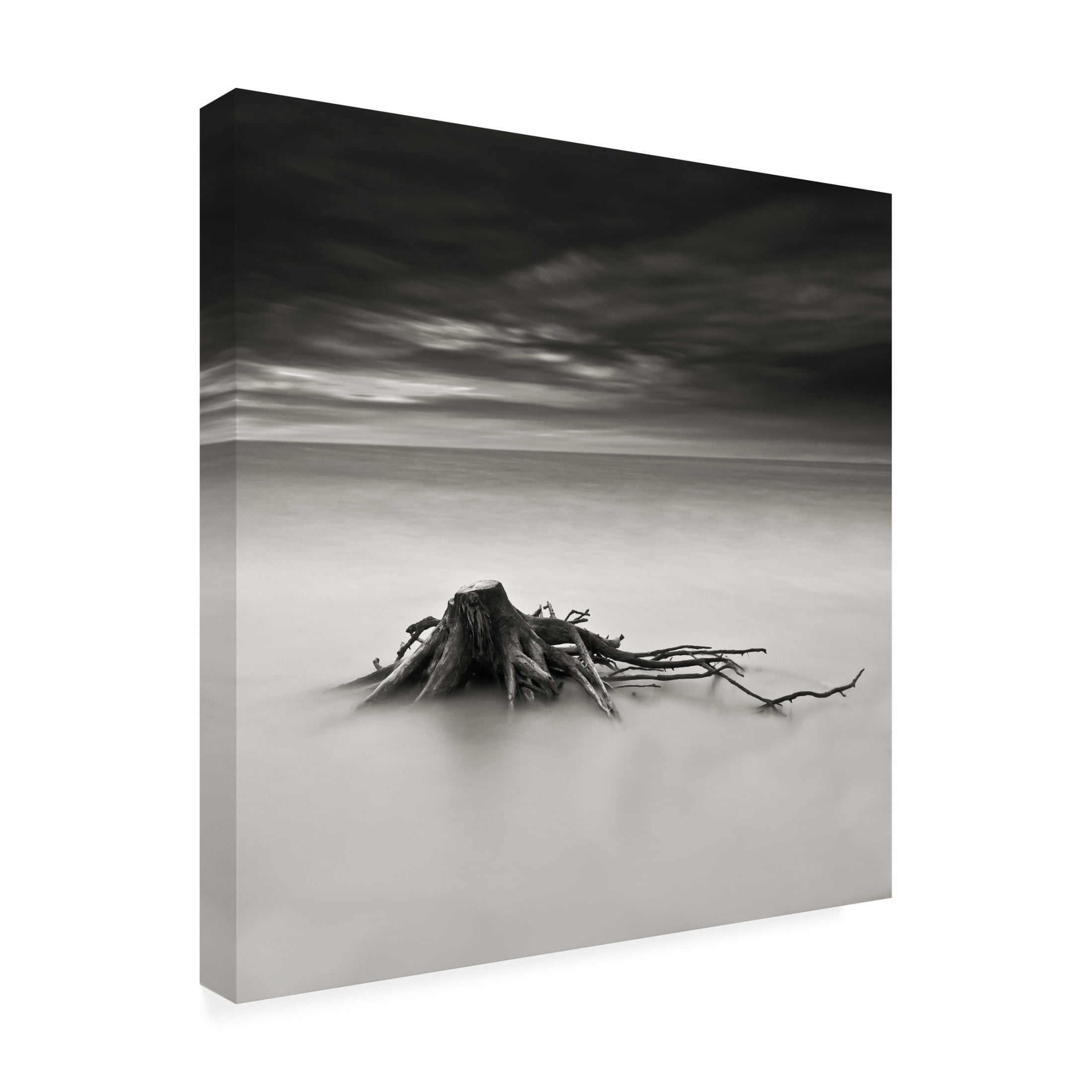 Canvas Wall Art - Benoit Thierard 'Immortel' Wall Art for Living Room, Bedroom, or Office D?cor by Trademark Fine Art - 35 x 35 Inches