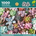 thumbnail image 1 of ROMPECABEZAS DE PLANTAS SUCULENTAS, 1 of 1