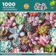 thumbnail image 1 of ROMPECABEZAS DE PLANTAS SUCULENTAS, 1 of 1