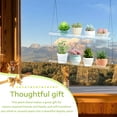 thumbnail image 3 of Window Plant Shelves Clear Hanging Acrylic Plant Stands Flower Pot Display Organizer Storage for Herbs Succulents Cool Gift for Plant Lovers 2-Tier, 3 of 7