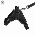 thumbnail image 2 of Luxtrada Dog Harness No-Pull Reflective Oxford Harness Breathable Adjustable Pet Vest with Handle for Medium/Large dogs Outdoor Walking, 2 of 9