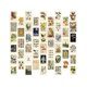 thumbnail image 1 of Kit de collage de pared con estética vintage: 50 mini pósteres de arte de collage botánico estilo cottagecore (4 x 6), para una pared fotográfica moderna., 1 of 4