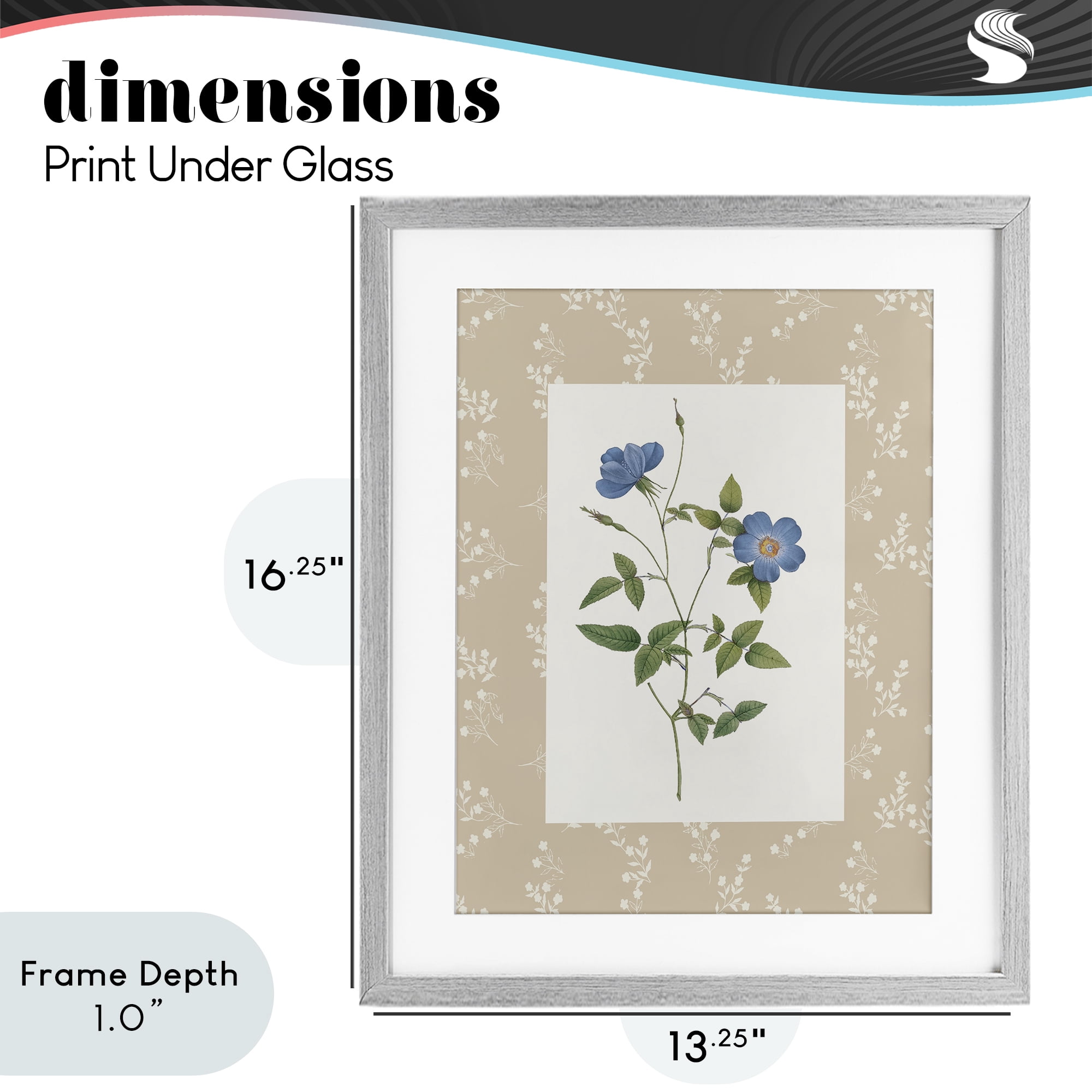 Stupell Industries Vintage Botanical Plate Gray Framed Print Under Glass, design by Val Rhodes