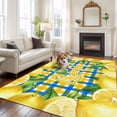 thumbnail image 2 of Yellow Lemon Area Rugs 6'x9', Washable Small Throw Rugs for Kitchen Dining room, Summer Botanical Blue Yellow Buffalo Plaid Indoor Outdoor Rug Non-Slip Low Pile Carpet Runner Reversible Floor Mats, 2 of 8