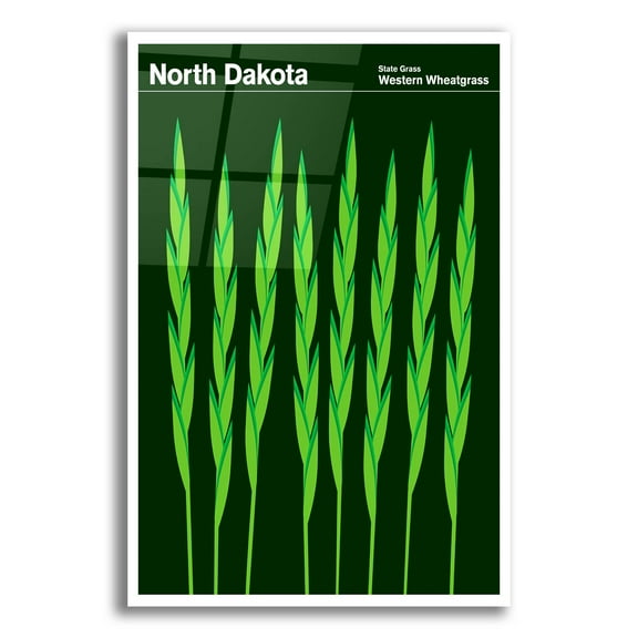 Epic Art 'State Posters ND' by Print Collection, Acrylic Glass Wall Art, 12"x16"