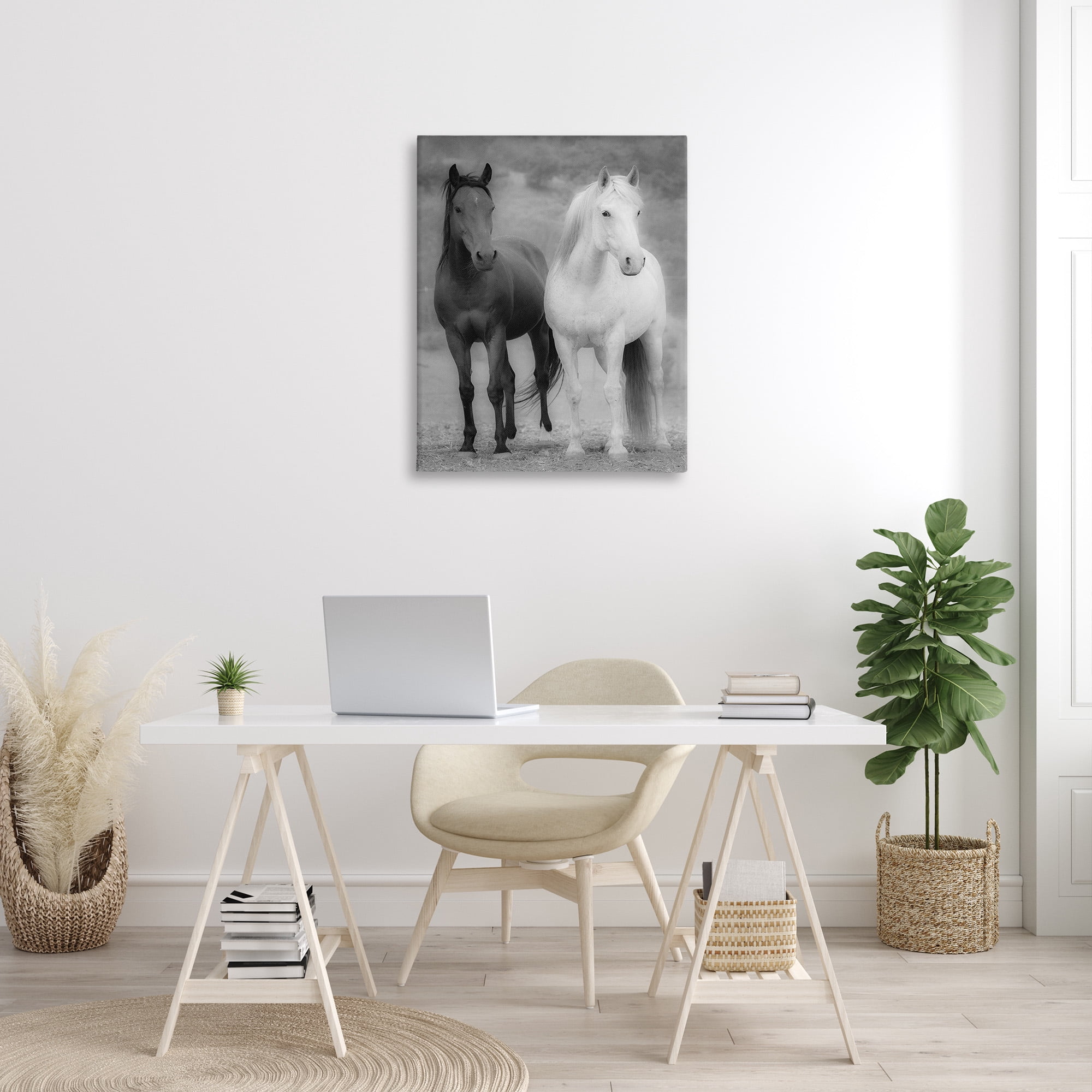 Stupell Industries White & Black Horses Animals & Insects Photography Gallery Wrapped Canvas Art Print Wall Art, 30 x 40