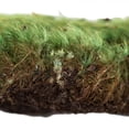 thumbnail image 4 of Vickerman Premium Green Mood Moss - 2.75 lbs/Bx, 4 of 5