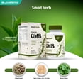 thumbnail image 2 of Smart Herb Paquete Focus GMB, Suplemento Alimenticio, 2 piezas (30 Cápsulas c/u) con Ginseng, Melena de León y Bocopa para Concentración, Memoria y Rendimiento Mental, 2 of 9