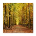 thumbnail image 1 of Fall Bandana, Pathway into the Forest, Unisex Head and Neck Tie, by Ambesonne, 1 of 2