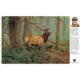 thumbnail image 3 of Buffalo Games Bonjour Forest King 500-Piece 21.25 x 15-inch Interlocking Jigsaw Puzzle for Adults Ages 14+, 3 of 5