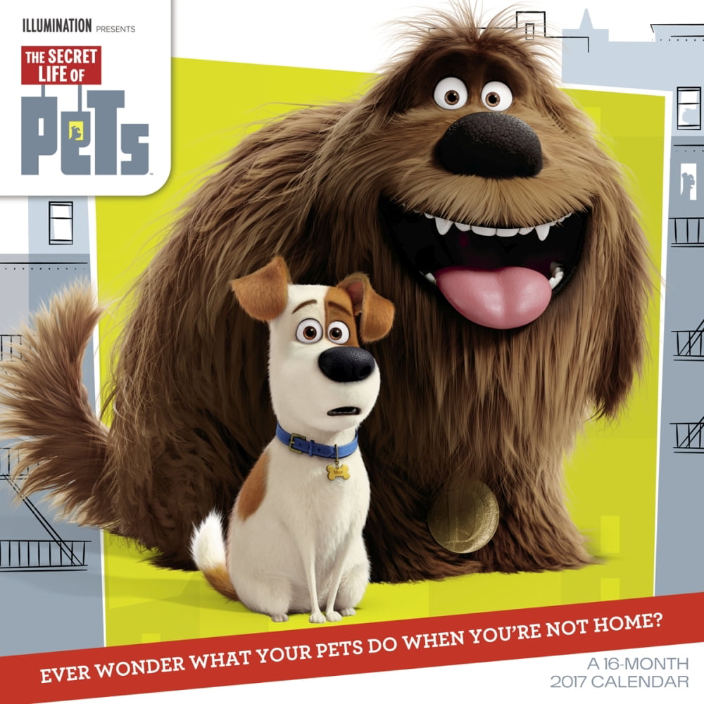Secret Life of Pets Wall Calendar, 2017 Animated Movies by ACCO Brands