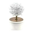 thumbnail image 2 of Novelty Crystal Trees Growing Educational Toy Science Project Crystal Science Experiments Toy for Teenagers Kid Children Toddlers Clear, 2 of 8