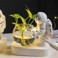 thumbnail image 5 of Jarrón de vidrio astronauta con maceta de astronauta con LED Maceta nórdica moderna con luz para suculentas, 5 of 5