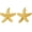 Starfish, variant on Chunky Gold Stud Earrings - Seashell Starfish Vintage Boho Ocean Sea Scallop Shell Statement Earrings