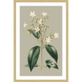 thumbnail image 2 of Marmont Hill "Botanical Cabinet I" Framed Painting Print, 2 of 6