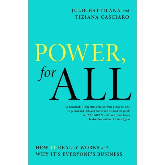 A Leadership Playbook: Power, for All : How It Really Works and Why It's Everyone's Business (Paperback)