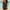 Black, variant on Dihao Tankini Swimsuit for Women Clearance Plus Size Women'S Two Piece Set Swimsuits Print Swimwear Slim Beachwear