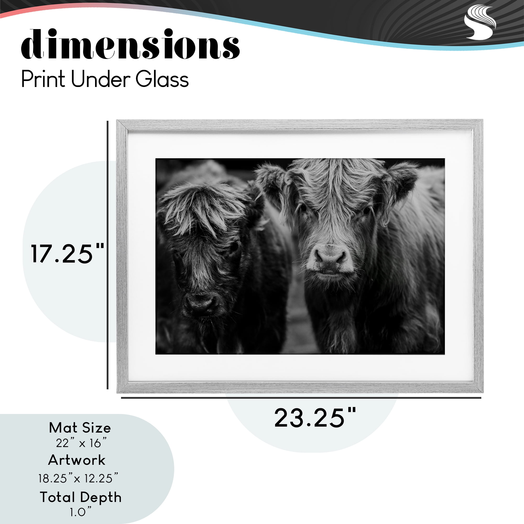 Cow Faces on Farm Gray Framed Print Under Glass, design by Amy Carroll