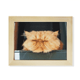 thumbnail image 1 of Matar animales gracioso gato amarillo Escritorio de madera Arte Pintura 6x8 pulgadas marco de foto foto, 1 of 4