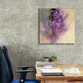 thumbnail image 3 of Epic Graffiti 'Amethyst' by Silvia Vassileva, Canvas Wall Art, 26"x26", 3 of 8