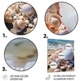 thumbnail image 3 of Designart "Seashell Beauty Beach Photo VII" Animals Metal Wall Art Prints, 3 of 5