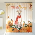 thumbnail image 3 of Happy Thanksgiving Whippet with Turkey Pumpkins Autumn Vibes Shower Curtain Dog Lover Waterproof Bathroom Bathtub Curtain - 12018, 3 of 5