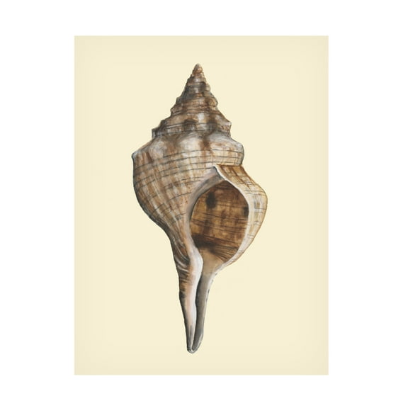 Trademark Fine Art Michael Willett Neutral-Toned Seashells I Canvas Wall Art