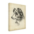 thumbnail image 2 of Trademark Fine Art 'Breed Studies XI' Canvas Art by Ethan Harper, 2 of 3