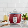 Oster 6Cup Rice Cooker and Steamer, 4722 with Operation and