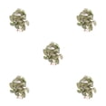thumbnail image 3 of Wosthever Plantas De Terrario Tropical De Plástico - Frescura Y Elegancia Para El Hogar Plantas Decoraciones Artificiales Sandía De Otoño Type2 NO2, 3 of 6