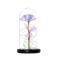 thumbnail image 2 of Gifts for Mum Her,Valentines Gifts for Her,Mothers Day Unique Gifts for Mum from Daughter Artificial Rose LED Night Light Mum Gifts for Women Her on V, 2 of 5