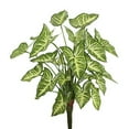 thumbnail image 1 of Vickerman Vickerman 22" Artificial Green Syngonium Bush Featuring 25 Leaves, 1 of 3
