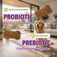 thumbnail image 5 of Daily Probiotic Chews For Dogs 60/Pkg, 5 of 8