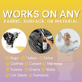 thumbnail image 4 of The Stink Solution Urine Odor Eliminator Spray, Smell Neutralizer, WeeWee Fresh, 16 oz, 2 Count, 4 of 6