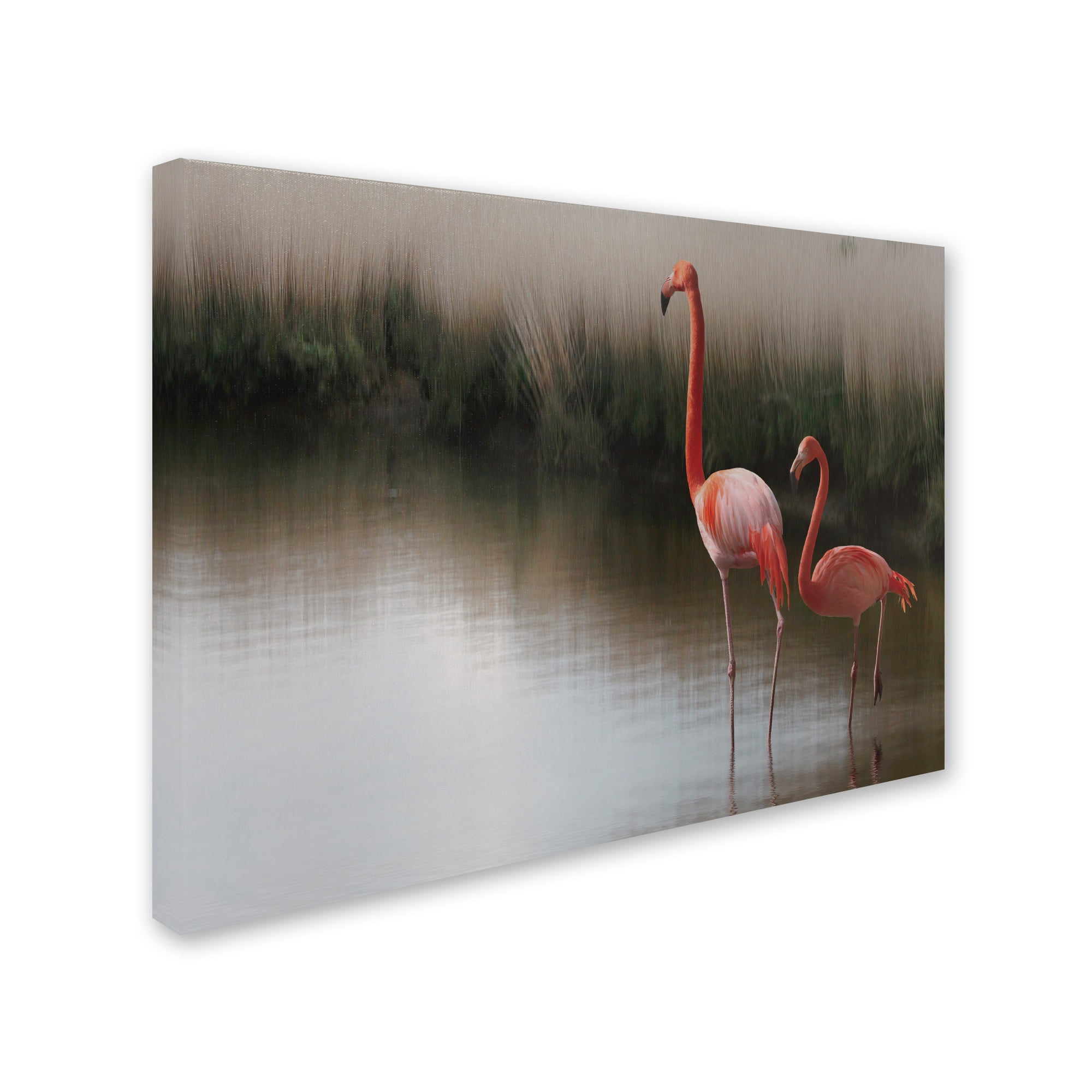 Trademark Fine Art 'Red Flamingo' Canvas Art by Anna Cseresnjes