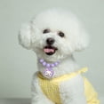 thumbnail image 3 of sunsanly Pet Necklace Beaded Collar Small Dog Accessories Non-Fading Artificial Pearl Adjustable Pet Jewelry for Daily Dressing Photos Outings, 3 of 7