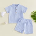 thumbnail image 2 of Toddler boys and girls clothes summer outfits embroidery smocked short sleeve shirt t-shirt + gingham shorts 1T 2T 3T 4T Sky Blue 18-24 Months, 2 of 3
