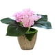 thumbnail image 1 of Flor falsa hortensia de cuatro hojas pequeña flor bonsái planta artificial flor de seda planta verde planta en maceta, 1 of 5