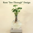 thumbnail image 6 of LED Lighted Hydroponic Glass Vase, Round er with Waterproof Wooden Base, Desktop Terrarium for Herbs Succulents, Home Office Decor, Soft LED Enhances Beauty Day Night, White, 1pc, 6 of 8