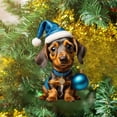thumbnail image 2 of KCEHTA Dachshund Christmas Ornaments, Dachshund Ornaments for Christmas Tree, Acrylic Dachshund Pendant Christmas Hanging Ornament Cute Dachshund Dog Xmas Tree Decorations for Dog Lovers, 2 of 6