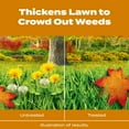 thumbnail image 2 of Scotts Turf Builder WinterGuard Fall Weed & Feed5, 11.28 lbs., 2 of 5