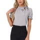 thumbnail image 1 of INSPIRAR CHIC Blusas de Verano para Mujeres de Color Sólido con Lazo en el Cuello y Mangas Cortas para Usar en el Trabajo Gris 2XL, 1 of 6