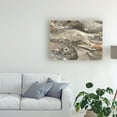 thumbnail image 3 of Trademark Fine Art 'Minerals Iii' Canvas Art by Albena Hristova, 3 of 3