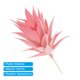 thumbnail image 4 of Uxcell Pequeñas Plantas Suculentas Artificiales Sin Maceta Picos Suculentos Falsos Rosa 2 Paquete, 4 of 5