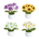 thumbnail image 1 of 4 Piezas Plantas en Macetas Kit Crochet Inicio Bricolaje para Adultos (margarita), 1 of 9