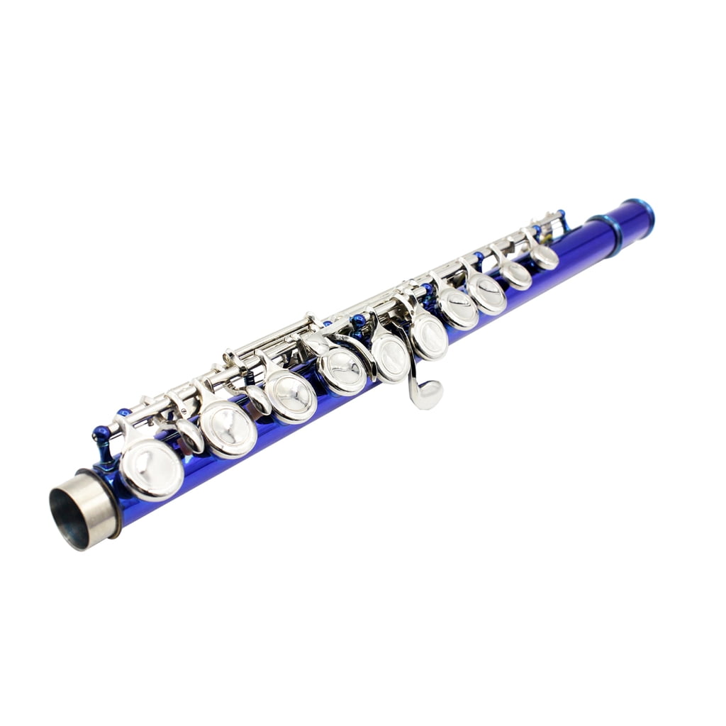 Professional 16 Hole Flute with E C Tone Closed Hole Flute With Bag Cloth Stick for Beginners