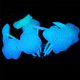 thumbnail image 4 of Adorno de planta de coral de silicona Adorno artificial brillante para acuario de pecera, Zhivalor 220782-3, 4 of 4