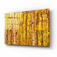 thumbnail image 2 of Epic Art 'Aspen Autumn' by Mark A Paulda, Acrylic Glass Wall Art, 16"x12", 2 of 8