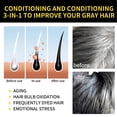 thumbnail image 4 of Champú para cabello negro Polygonum Multiflorum Hidratante Limpieza del cabello (Negro) Ehuebsd  Cuidado Belleza, 4 of 9
