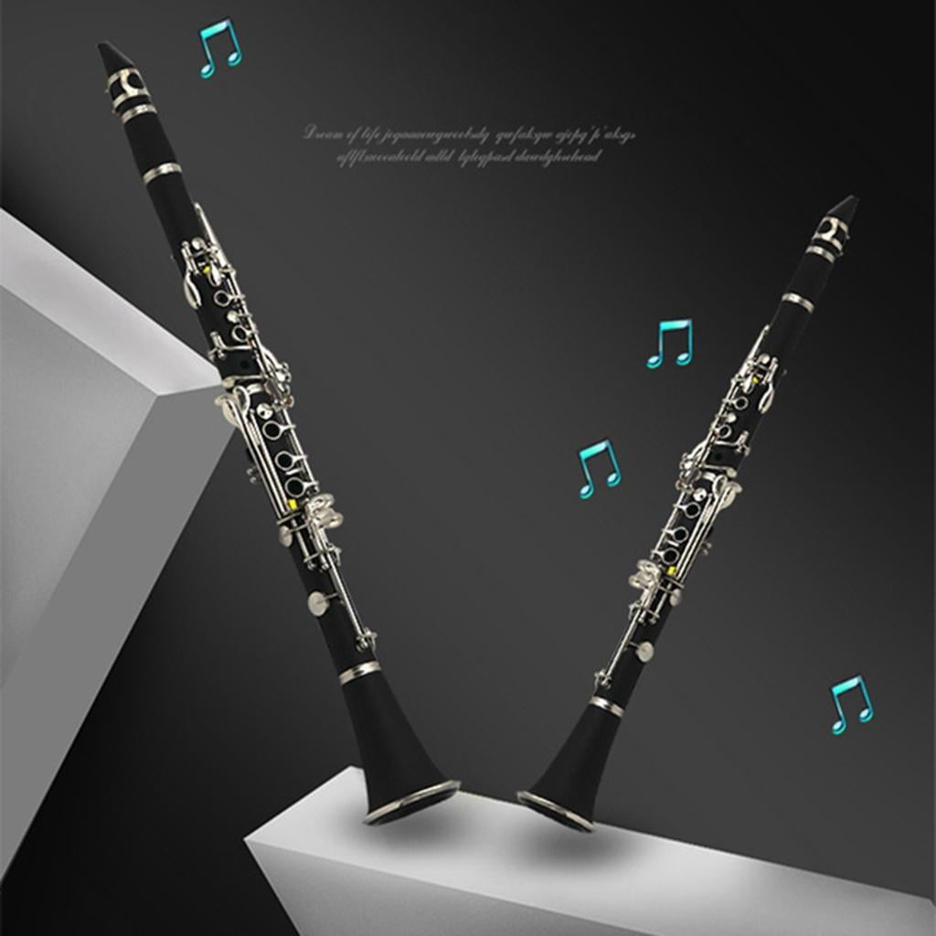 Yihuala Black Clarinet, 17 Keys Clarinet, B-Flat Clarinet For Beginner with Box, Professional Black Clarinet